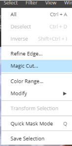 click Select and choose Magic Cut option