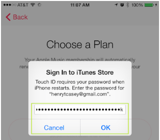 enter your iTunes password