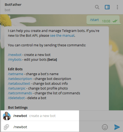 want to create a new bot, then simply type newbot