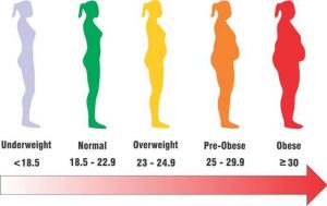 Women Body Mass Index
