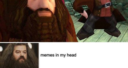 PS1 Hagrid Meme