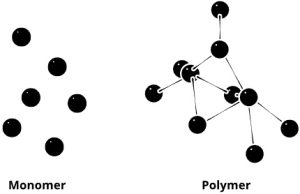 Select All That Are Monomers