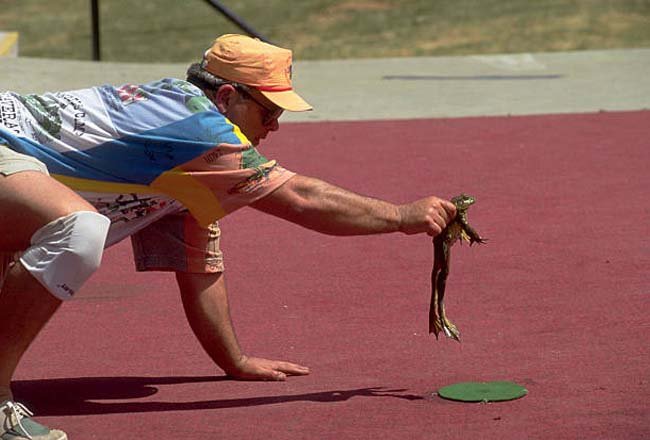Eating Dead Frogs During Frog Jumping Competitions (California)
