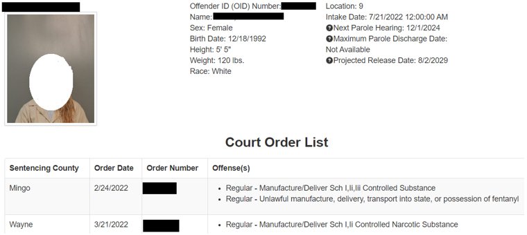 How to Use WVRJA Daily Incarcerations 10