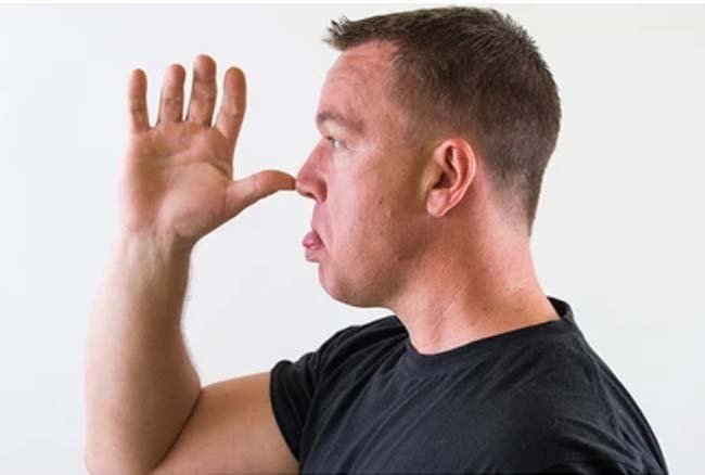 Making Rude Gestures (New York)