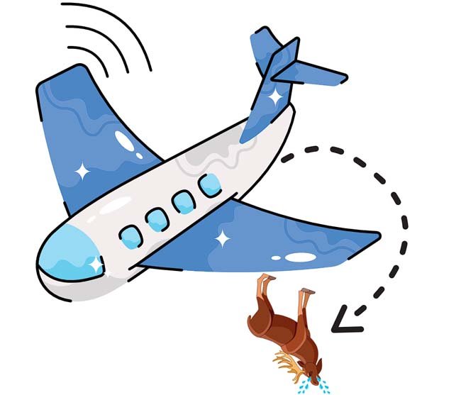 Pushing Moose Out of Planes (Alaska)