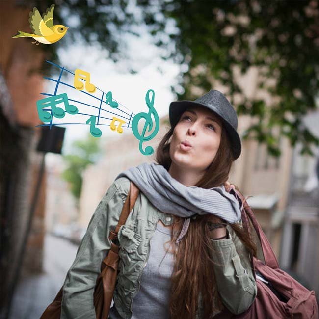 Whistling Before Dawn Until 7 AM (California)