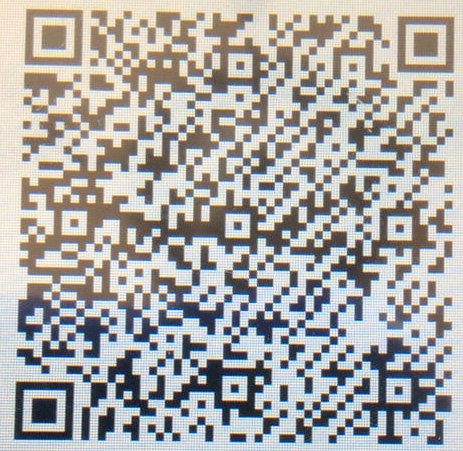Pokemon Super Mystery Dungeon QR Codes