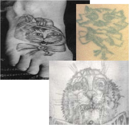 Cat Tattoo The Gang Stalkers’ Form of Communication