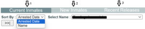Craighead County Inmate Roster Guide 3