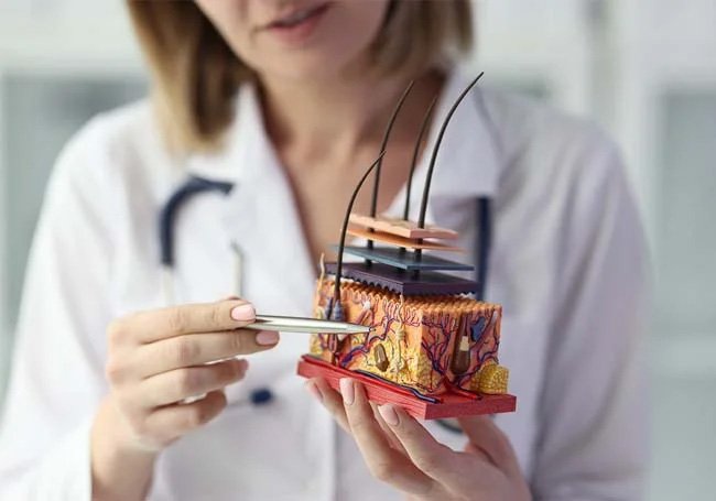 How Much is a Hair Follicle Test at Labcorp