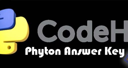 CodeHS Python Answers Key