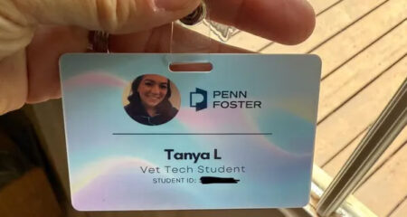 How to Find Your Student ID for Penn Foster